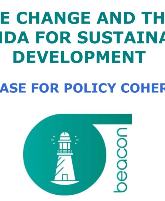 Climate Change and the 2030 Agenda for Sustainable Development – 11th Feb.